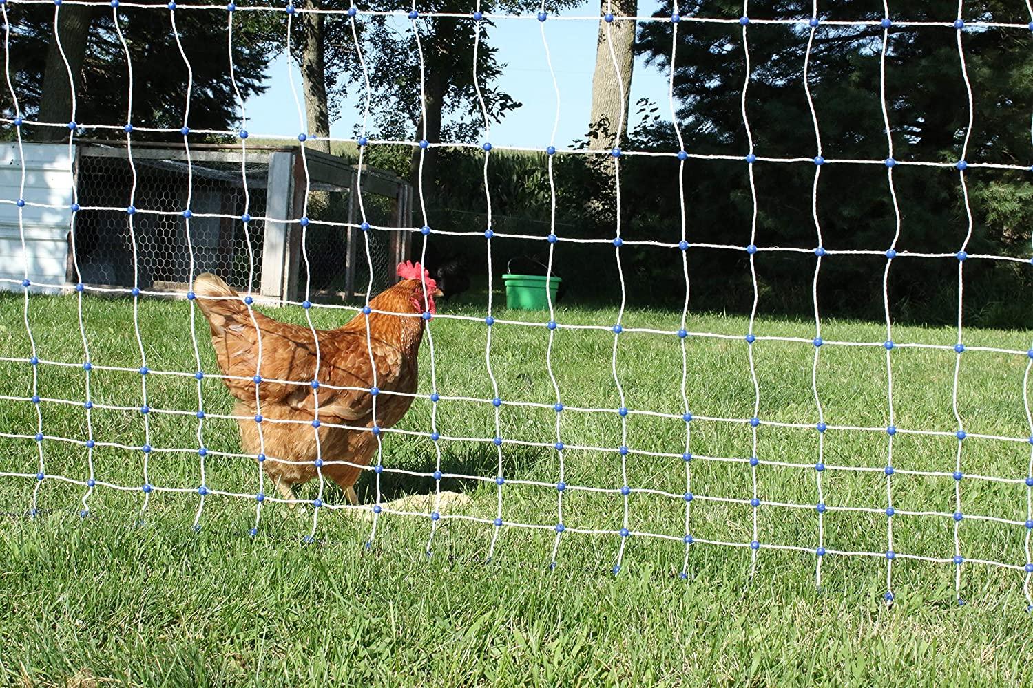 Starkline Electric Poultry Netting Kit �C AC Energizer (48��� x164�� White/Blue Poultry Netting) (12/48/3) All in One Electric Fence Kit for Backyards, Homesteads, Ranches or Farms