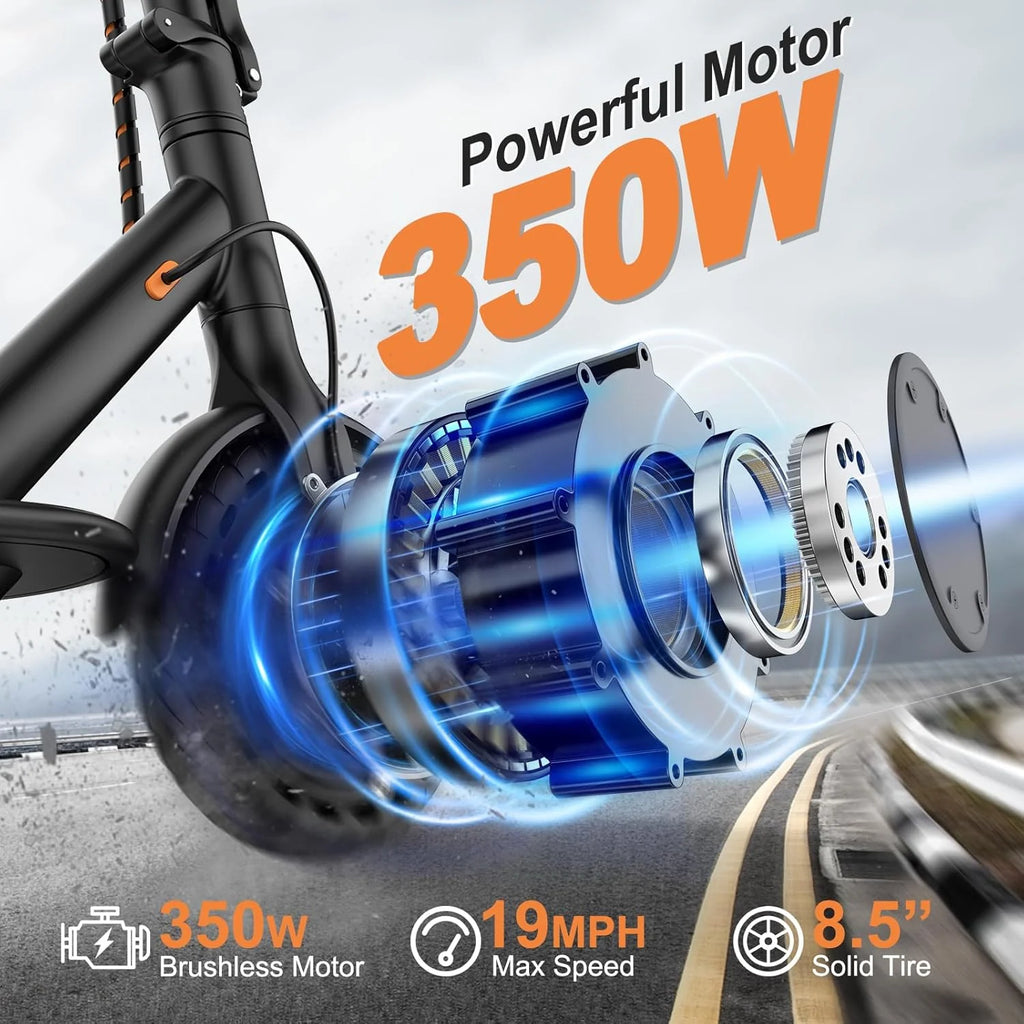 Electric Scooter Powerful Motor Dual Braking