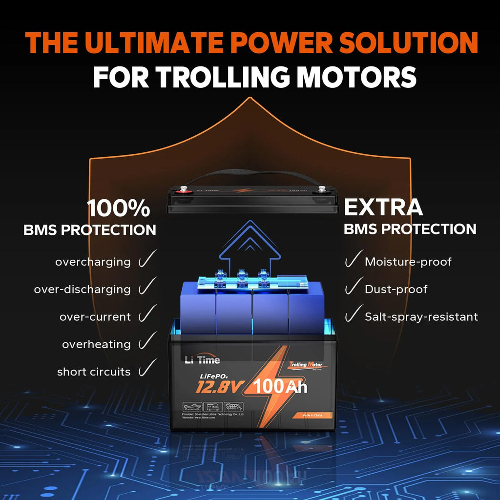 2025 LiTime 12V 100Ah TM LiFePO4 Lithium Battery Built in 100A BMS