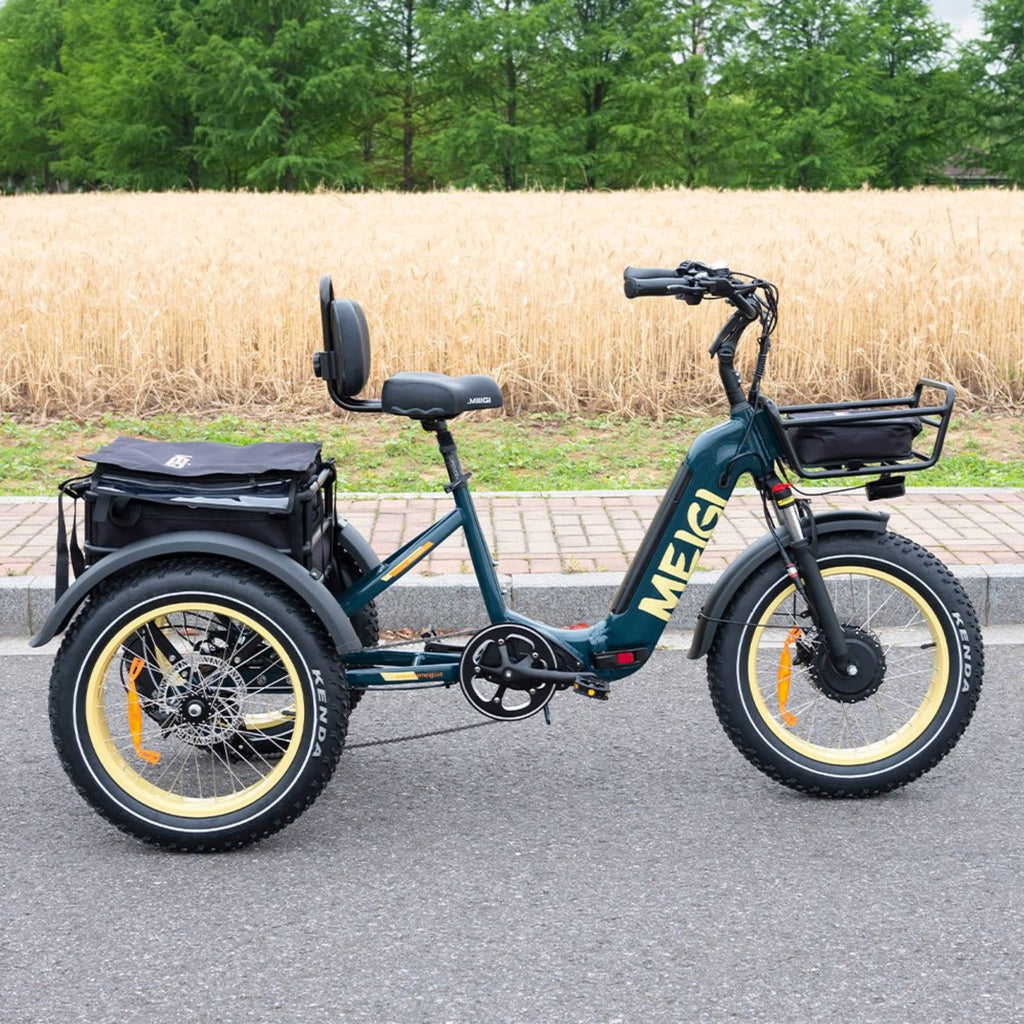 2025 SILVERADO 20 48V/14AH 750W Foldable Fat Tire Electric Trike, 330LBS (96817362)