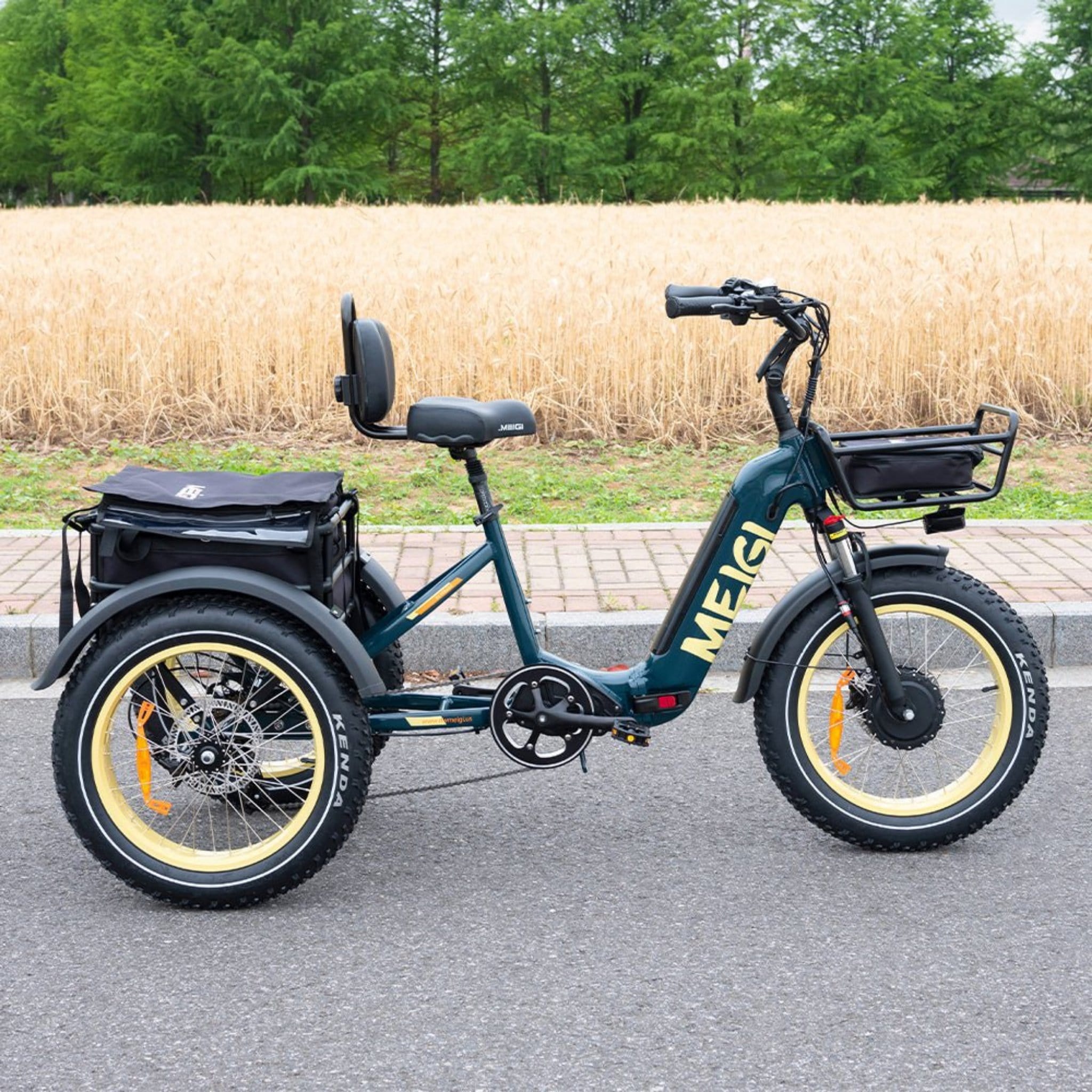 2025 SILVERADO 20 48V/14AH 750W Foldable Fat Tire Electric Trike, 330LBS (96817362)