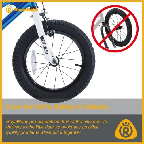 Royalbaby Kids Bike Freestyle BMX Bicycle with Training Wheels Kickstand