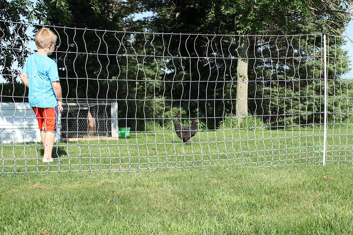 Starkline Electric Poultry Netting Kit �C AC Energizer (48��� x164�� White/Blue Poultry Netting) (12/48/3) All in One Electric Fence Kit for Backyards, Homesteads, Ranches or Farms