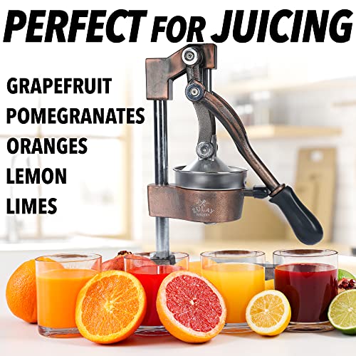 Zulay Kitchen Cast Iron Orange Juice Squeezer   Heavy Duty, Easy to Clean, Professional Citrus Juicer   Durable Stainless Steel Lemon Squeezer   Sturdy Manual Citrus Press &amp; Orange Squeezer (Copper): Home &amp; Kitchen