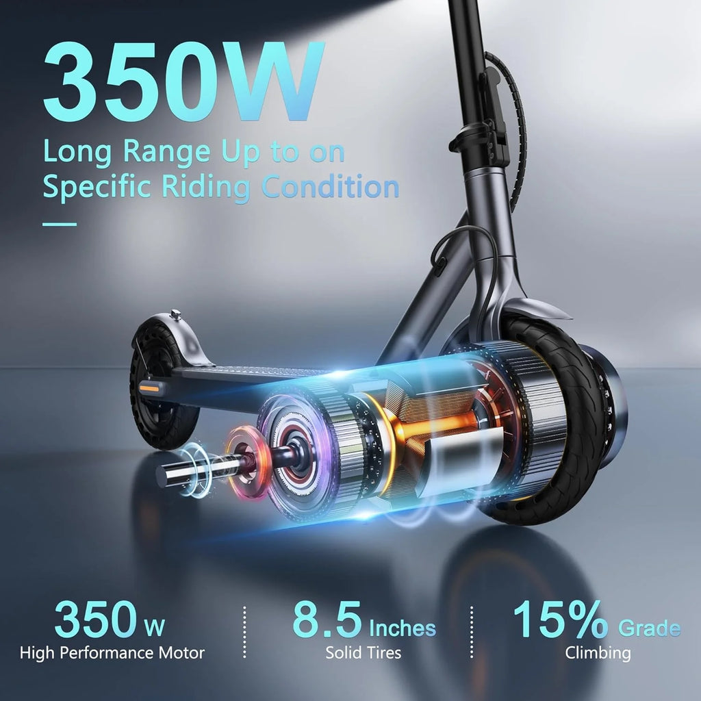 Electric Scooter Powerful Motor Dual Braking