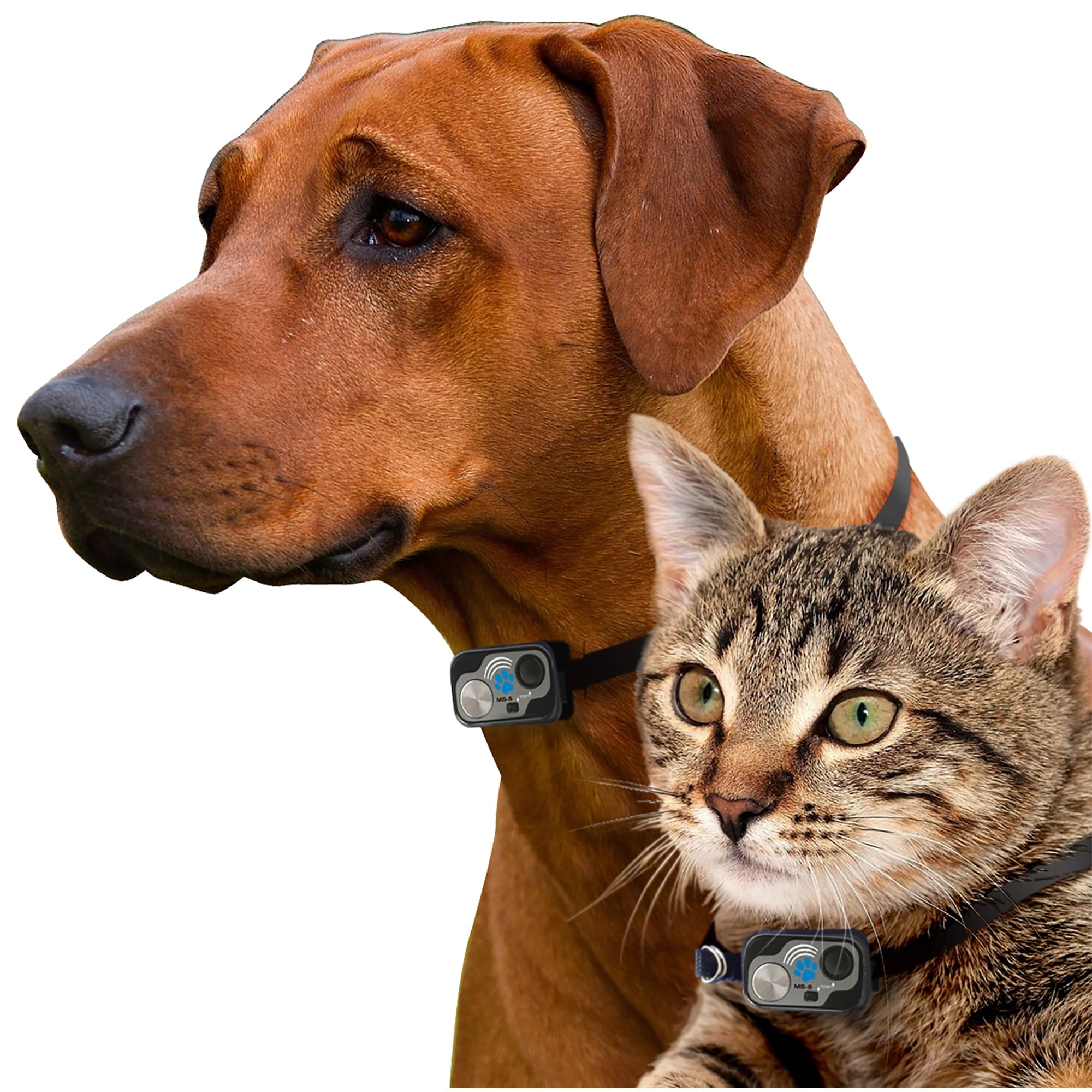 2025 Power Pet Large Electronic Pet Door PX-2