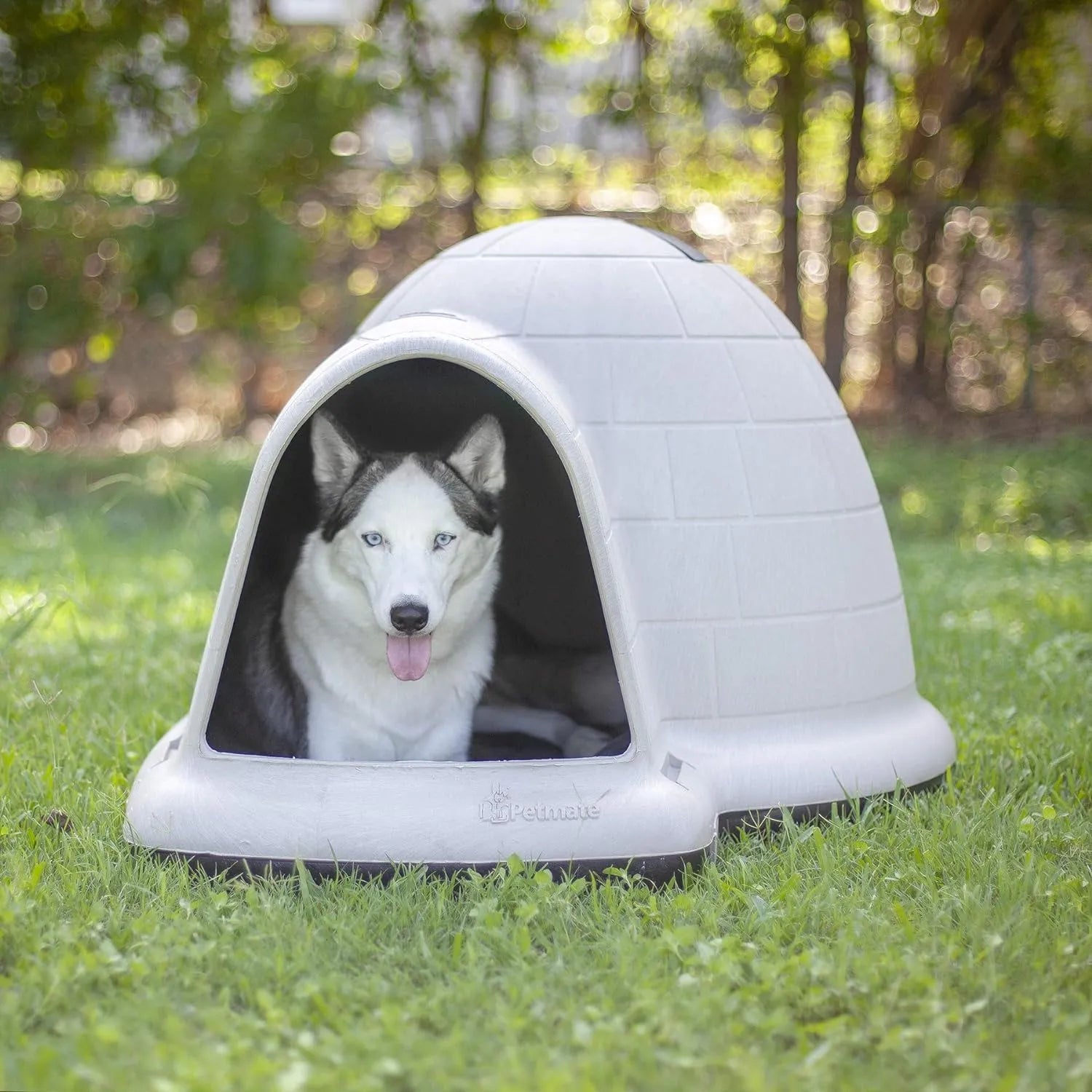 Petmate Indigo Dog House (Igloo Dog House, Made in USA with 90% Recycled Materials, All Weather Protection Pet Shelter) for XL Dogs  90 to 125 pounds, Made in USA