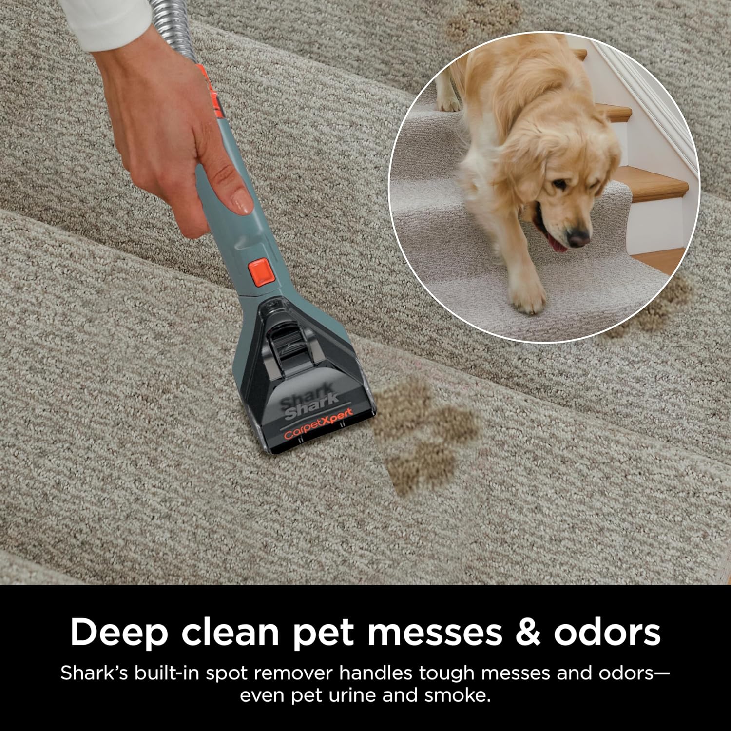 SHARK Carpetxpert Upright Carpet & Upholstery Cleaner