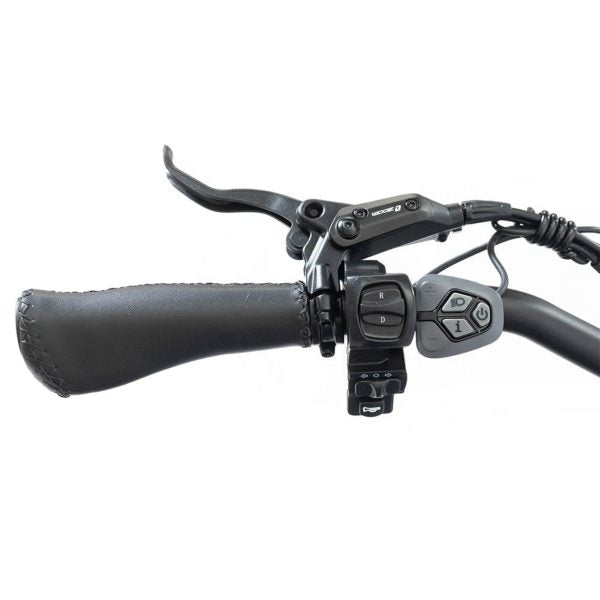 2025 SILVERADO 20 48V/14AH 750W Foldable Fat Tire Electric Trike, 330LBS (96817362)