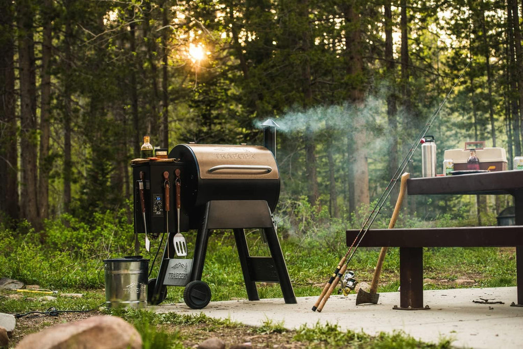 2025 Traeger Grills Pro 22 Electric Wood Pellet Grill and Smoker, Bronze