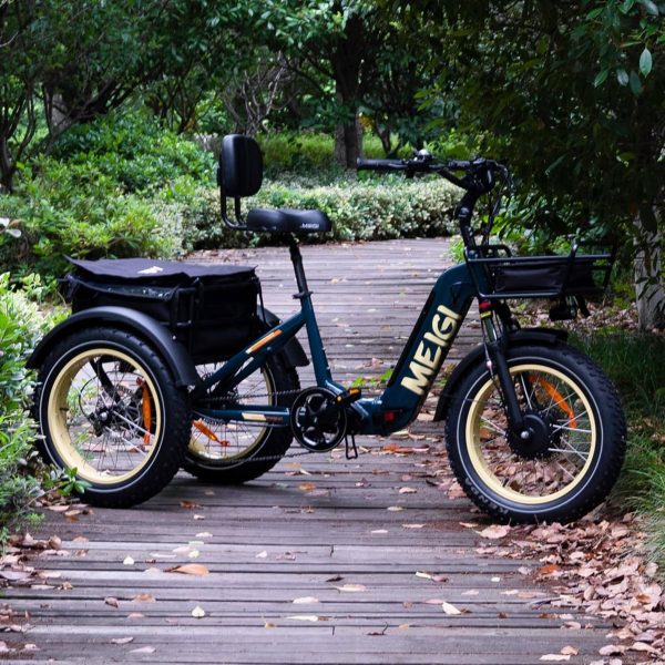 2025 SILVERADO 20 48V/14AH 750W Foldable Fat Tire Electric Trike, 330LBS (96817362)