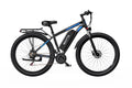 DUOTTS C29 Electric Bike