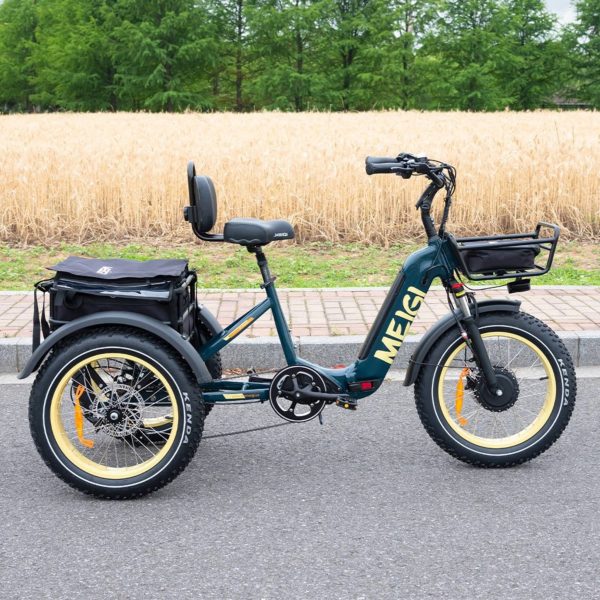 2025 SILVERADO 20 48V/14AH 750W Foldable Fat Tire Electric Trike, 330LBS (96817362)