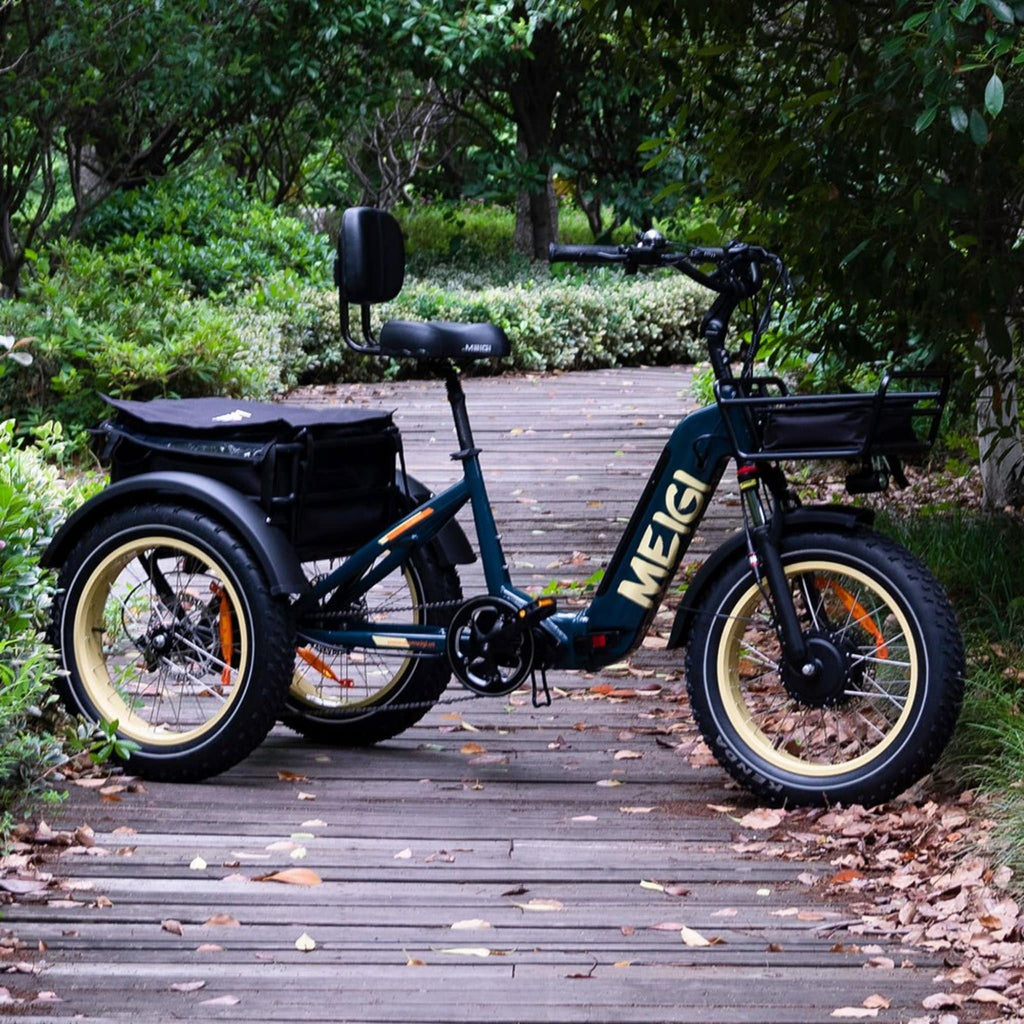 2025 SILVERADO 20 48V/14AH 750W Foldable Fat Tire Electric Trike, 330LBS (96817362)