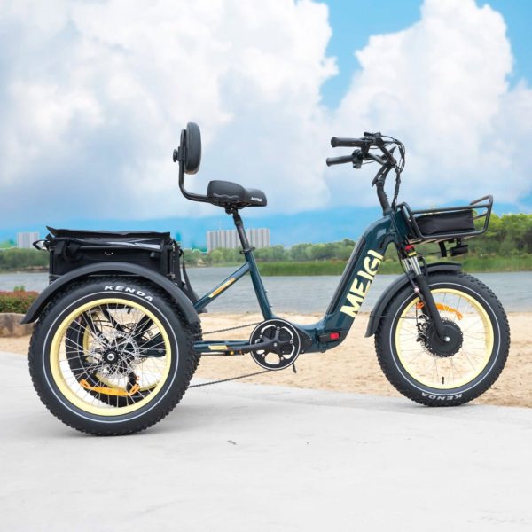 2025 SILVERADO 20 48V/14AH 750W Foldable Fat Tire Electric Trike, 330LBS (96817362)