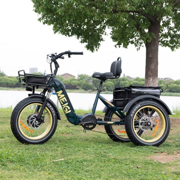 2025 SILVERADO 20 48V/14AH 750W Foldable Fat Tire Electric Trike, 330LBS (96817362)