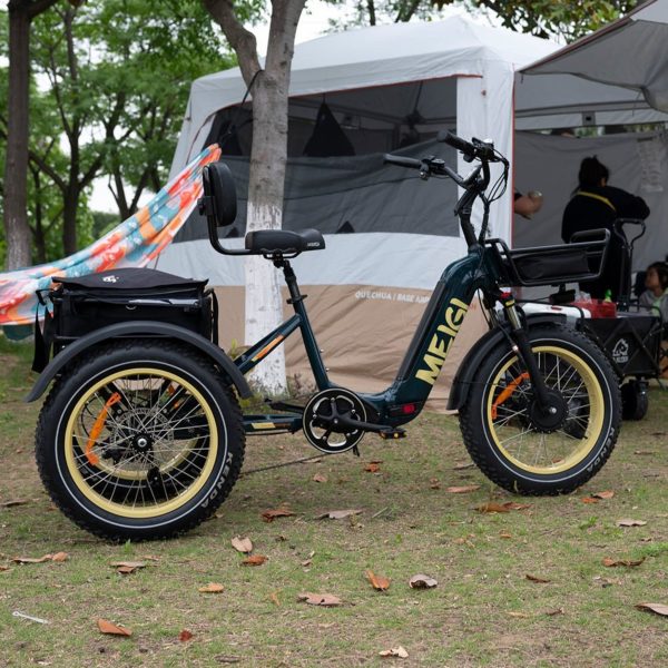 2025 SILVERADO 20 48V/14AH 750W Foldable Fat Tire Electric Trike, 330LBS (96817362)